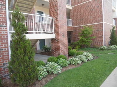 Branson Condo
